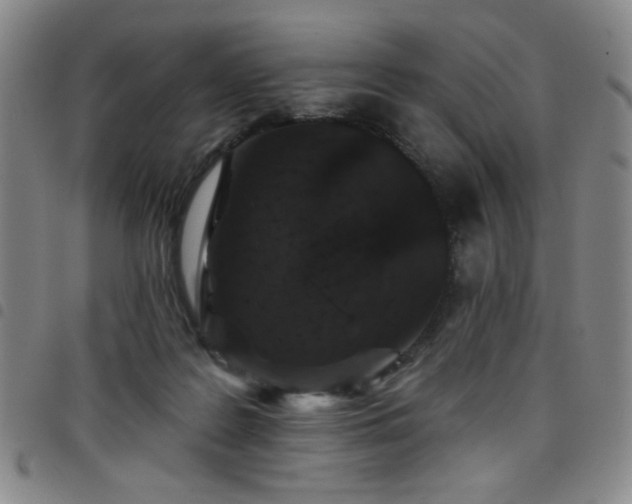 X0000098150219200804241747