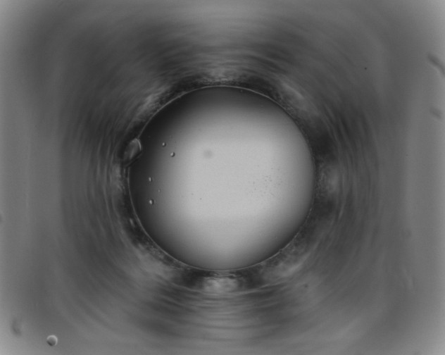 X0000098150220200804241747