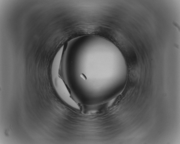 X0000098150221200804241747