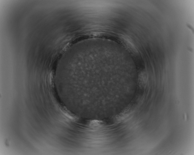 X0000098150222200804241747