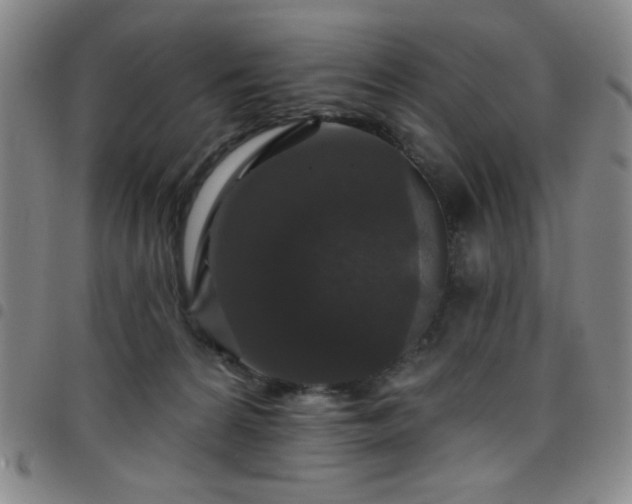 X0000098150224200804241747