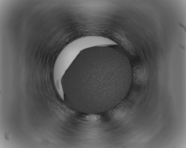 X0000098150225200804241747