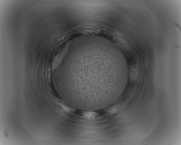 X0000098150226200804241747
