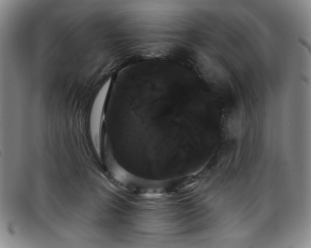 X0000098150227200804241747
