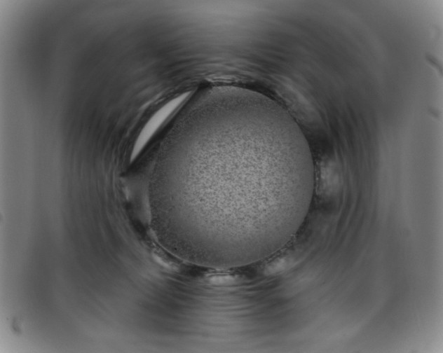 X0000098150228200804241747