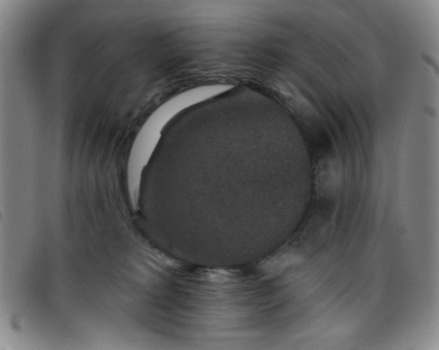 X0000098150229200804241747