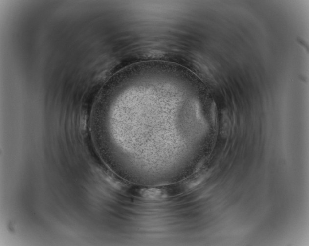 X0000098150230200804241747