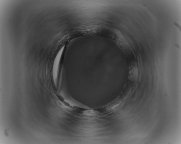 X0000098150231200804241747