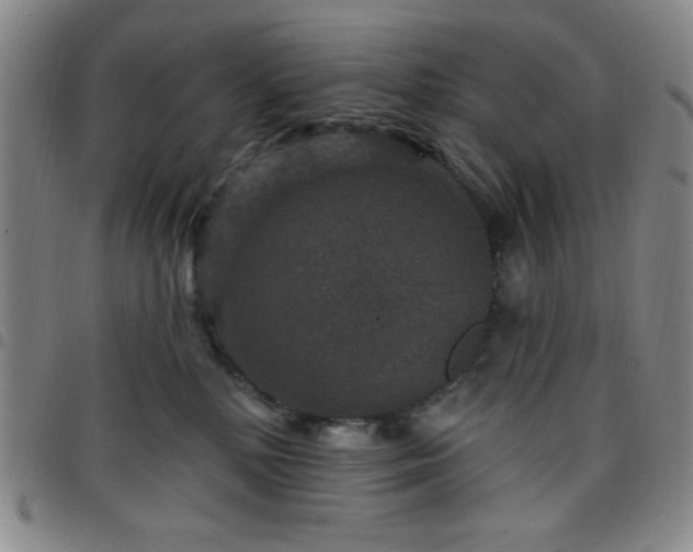 X0000098150232200804241747