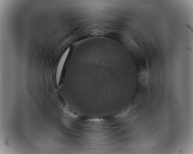 X0000098150233200804241747