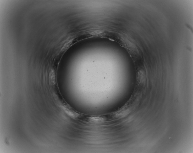X0000098150234200804241747