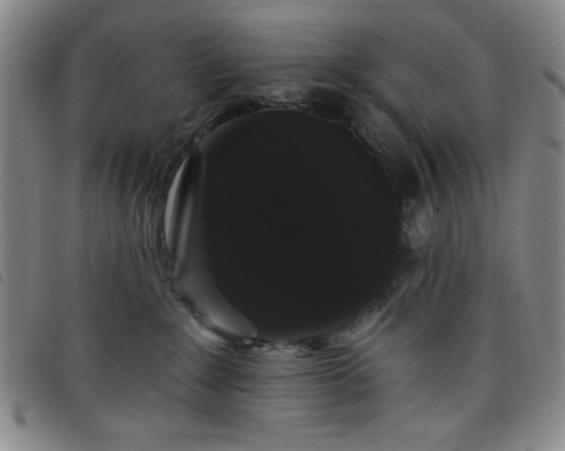 X0000098150235200804241747