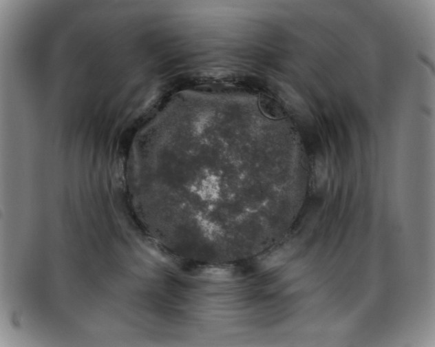 X0000098150236200804241747