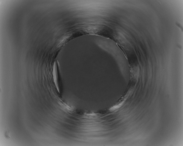 X0000098150237200804241747