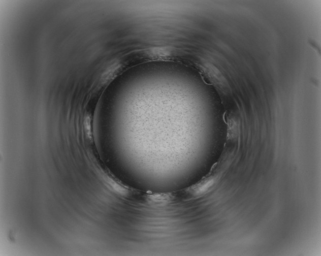 X0000098150238200804241747