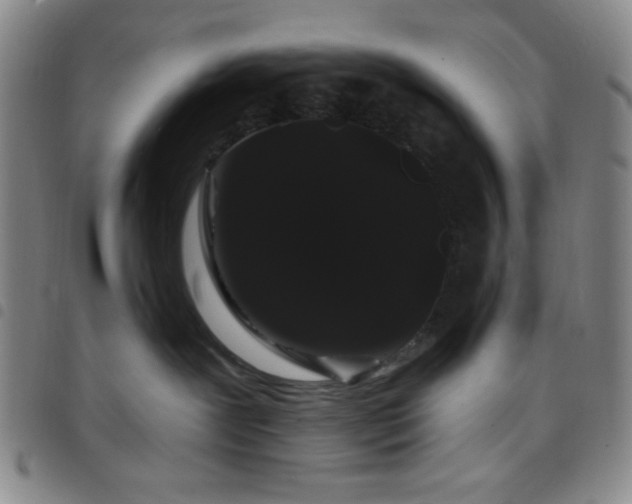 X0000098150239200804241747