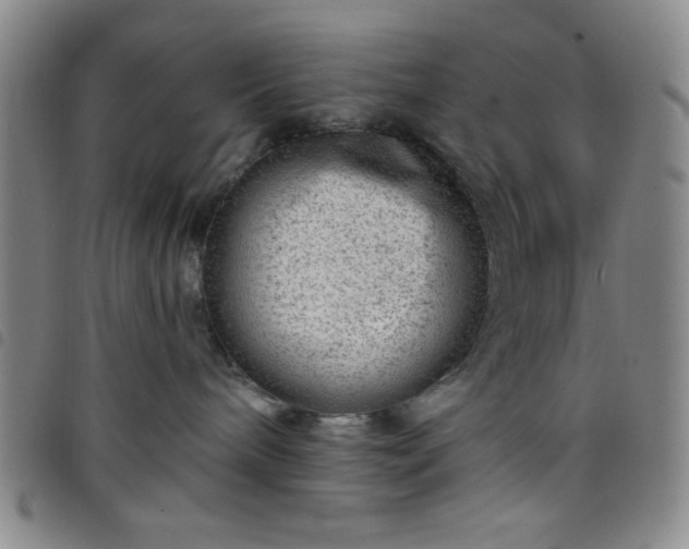 X0000098150240200804241747