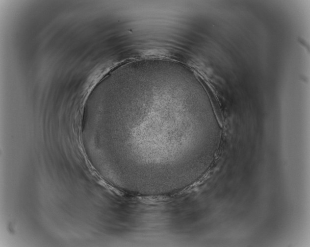 X0000098150241200804241746