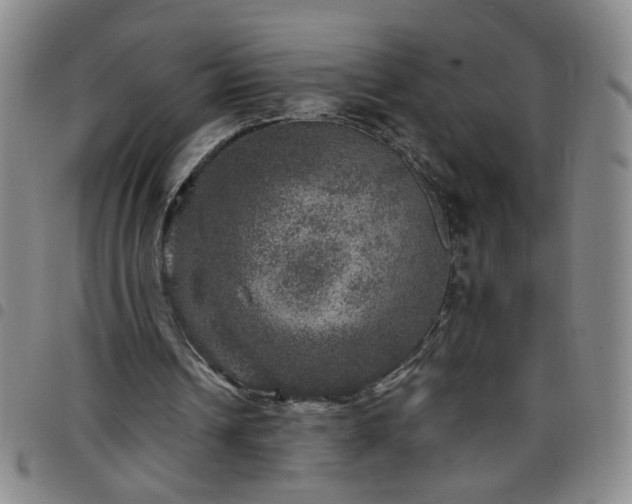 X0000098150242200804241746