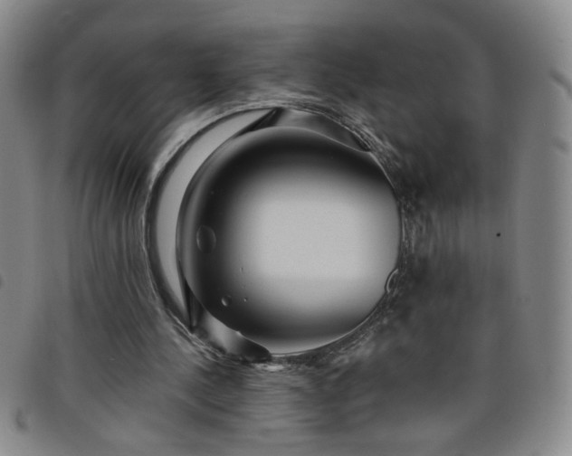 X0000098150244200804241746