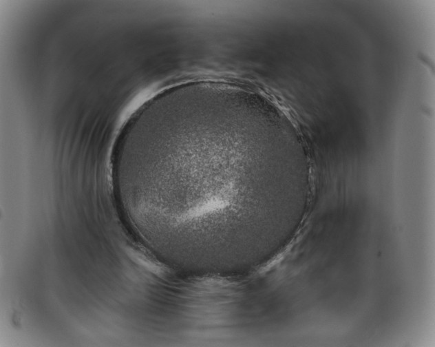 X0000098150246200804241746