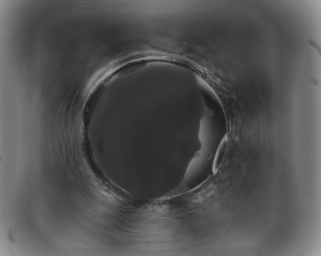 X0000098150247200804241746