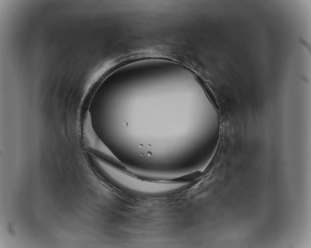 X0000098150248200804241746
