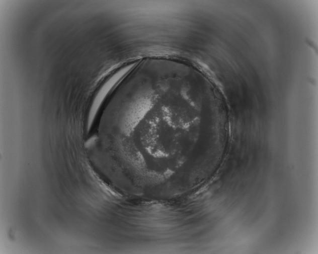 X0000098150249200804241747