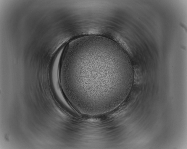 X0000098150251200804241747