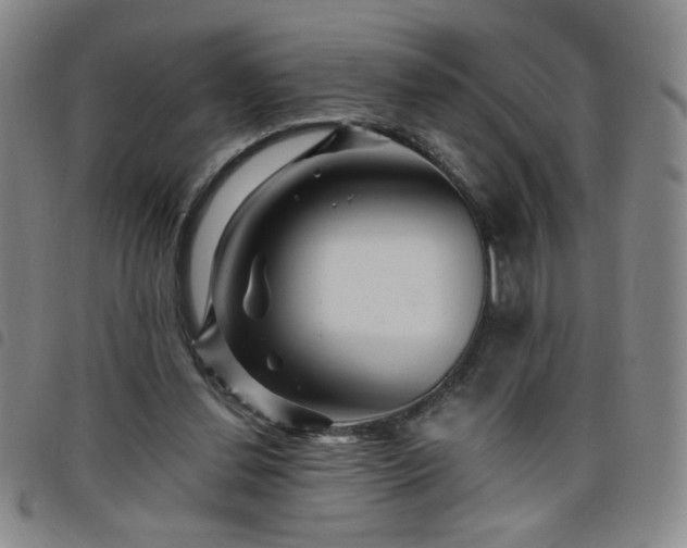 X0000098150252200804241747