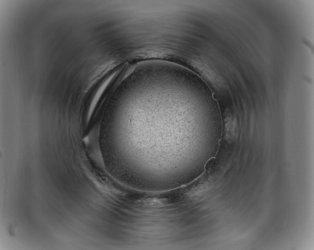 X0000098150254200804241747