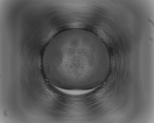 X0000098150255200804241747
