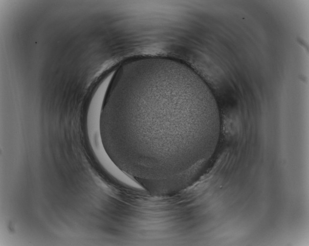 X0000098150256200804241747