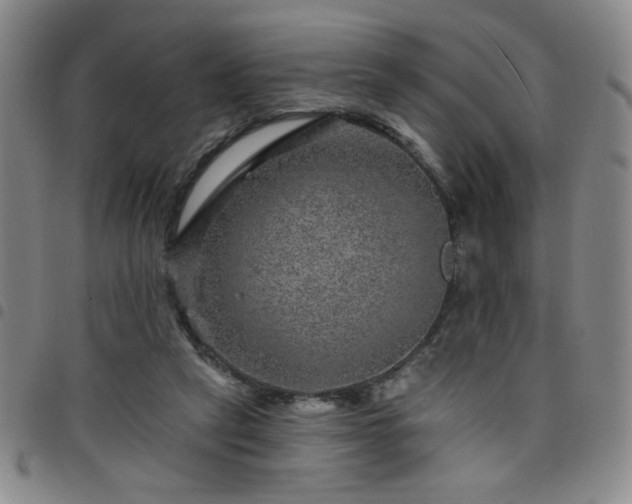 X0000098150257200804241747