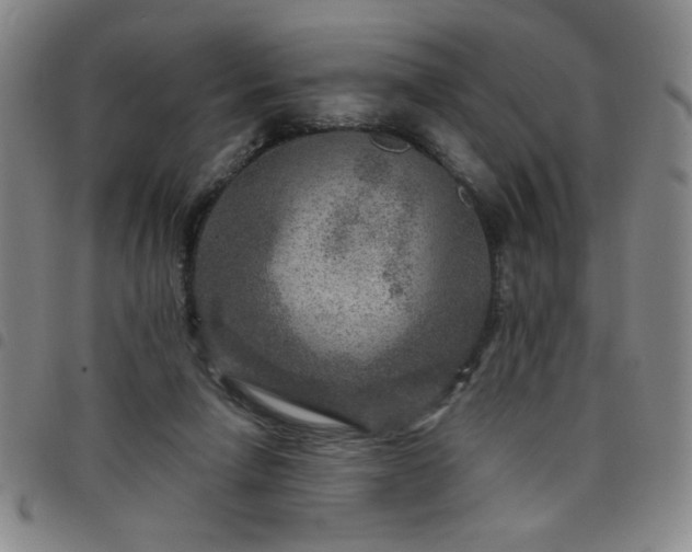 X0000098150258200804241747