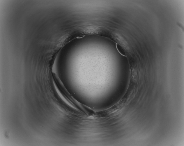 X0000098150259200804241747