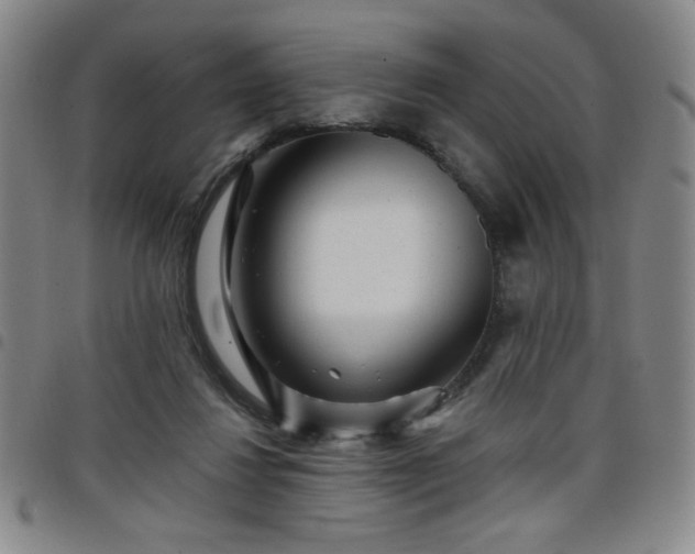 X0000098150260200804241747