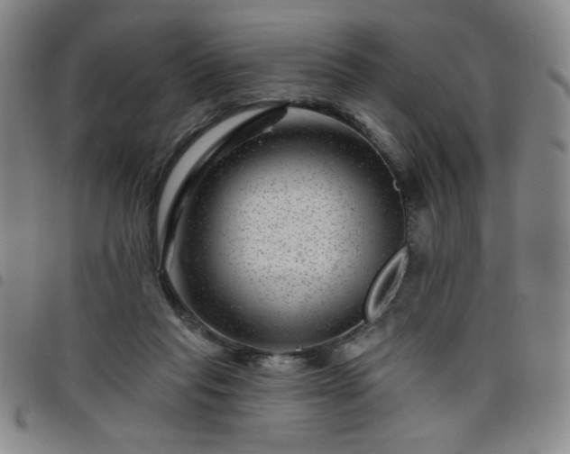 X0000098150261200804241747