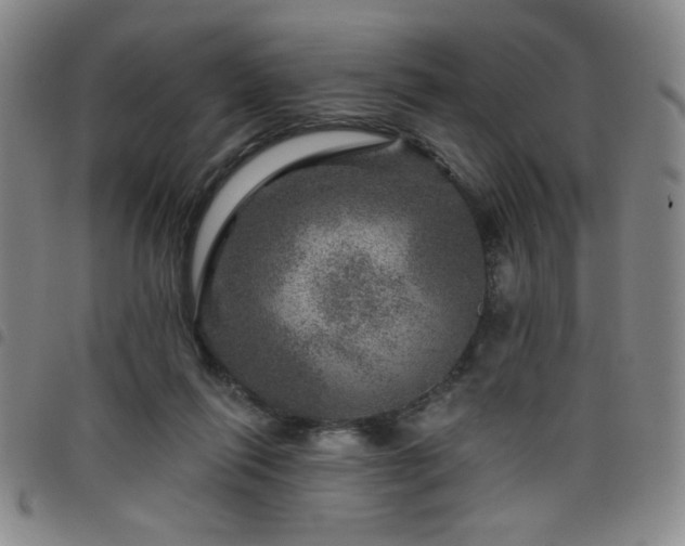 X0000098150262200804241747