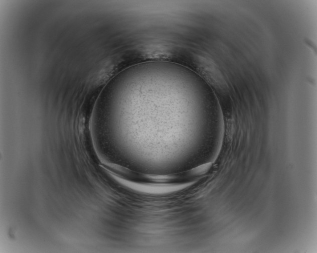 X0000098150263200804241747