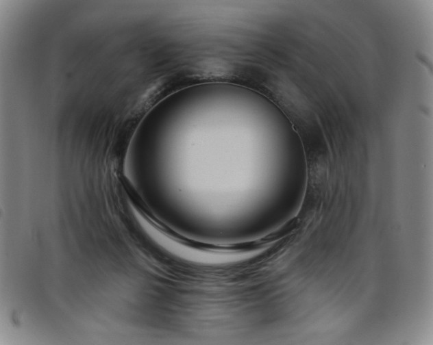 X0000098150264200804241747