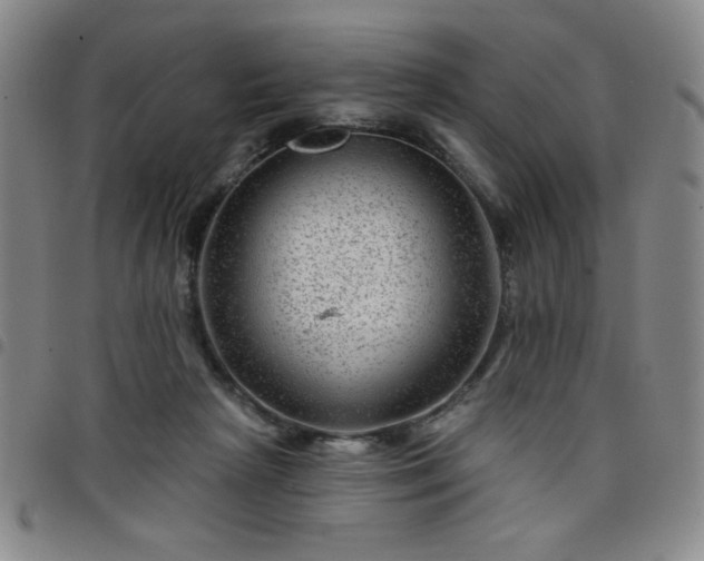 X0000098150265200804241747