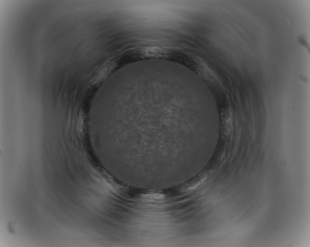 X0000098150266200804241747