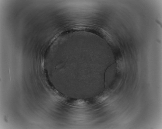 X0000098150267200804241747