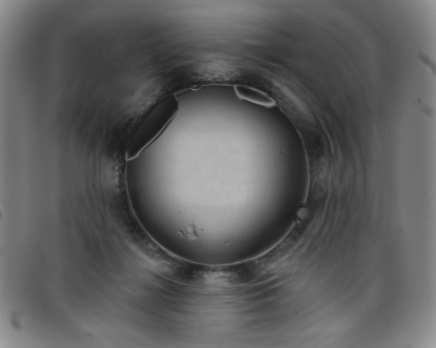 X0000098150268200804241747