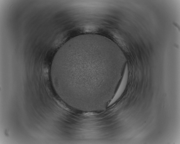 X0000098150269200804241747