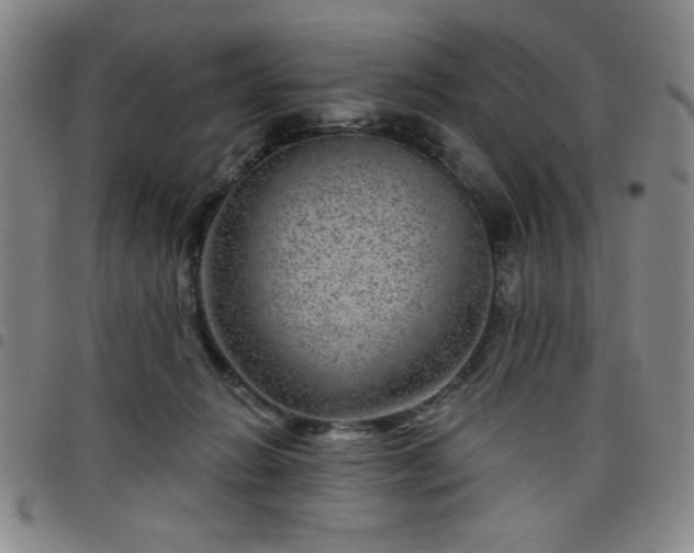 X0000098150270200804241747
