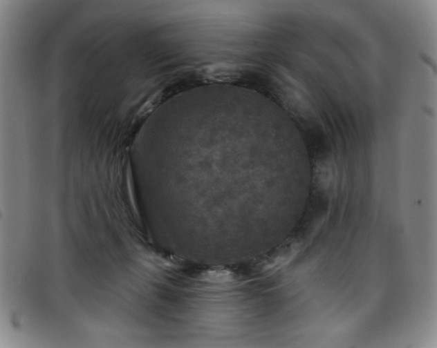 X0000098150271200804241747