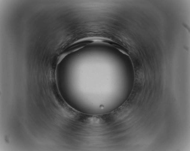 X0000098150272200804241747