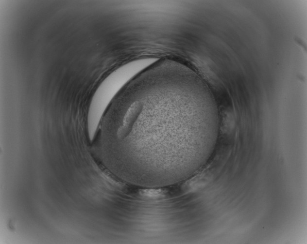 X0000098150273200804241747